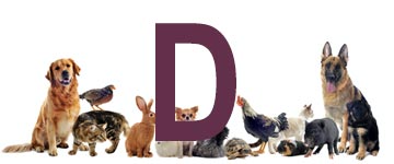 Djurnamn på D