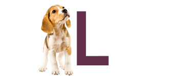 Hundnamn på L - Hundnamn börjar på L | Hitta ett djurnamn 2024