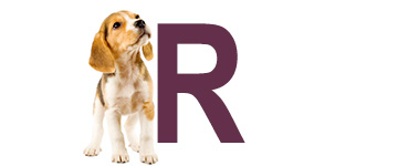 Hundnamn på R - Hundnamn börjar på R | Hitta ett djurnamn 2024