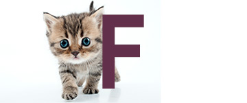 Kattnamn på F