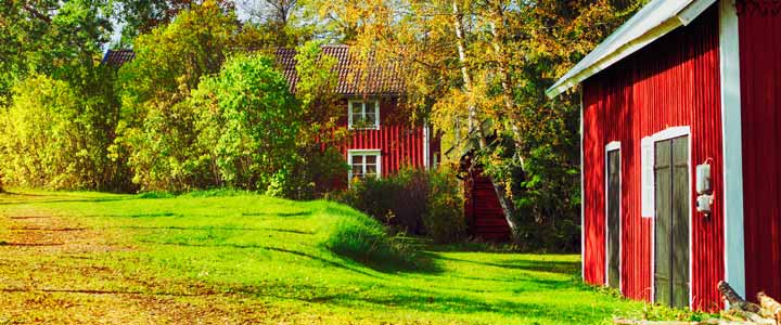 Populära namn Populära namn